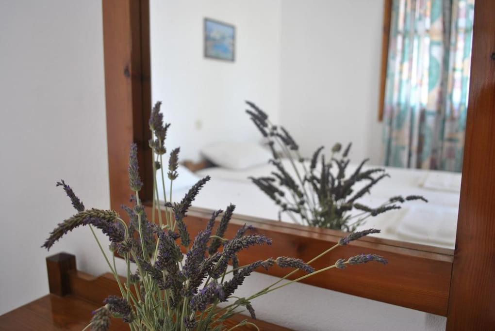 Antigoni Apartments 'Lavender Room' Mílatos Exterior foto