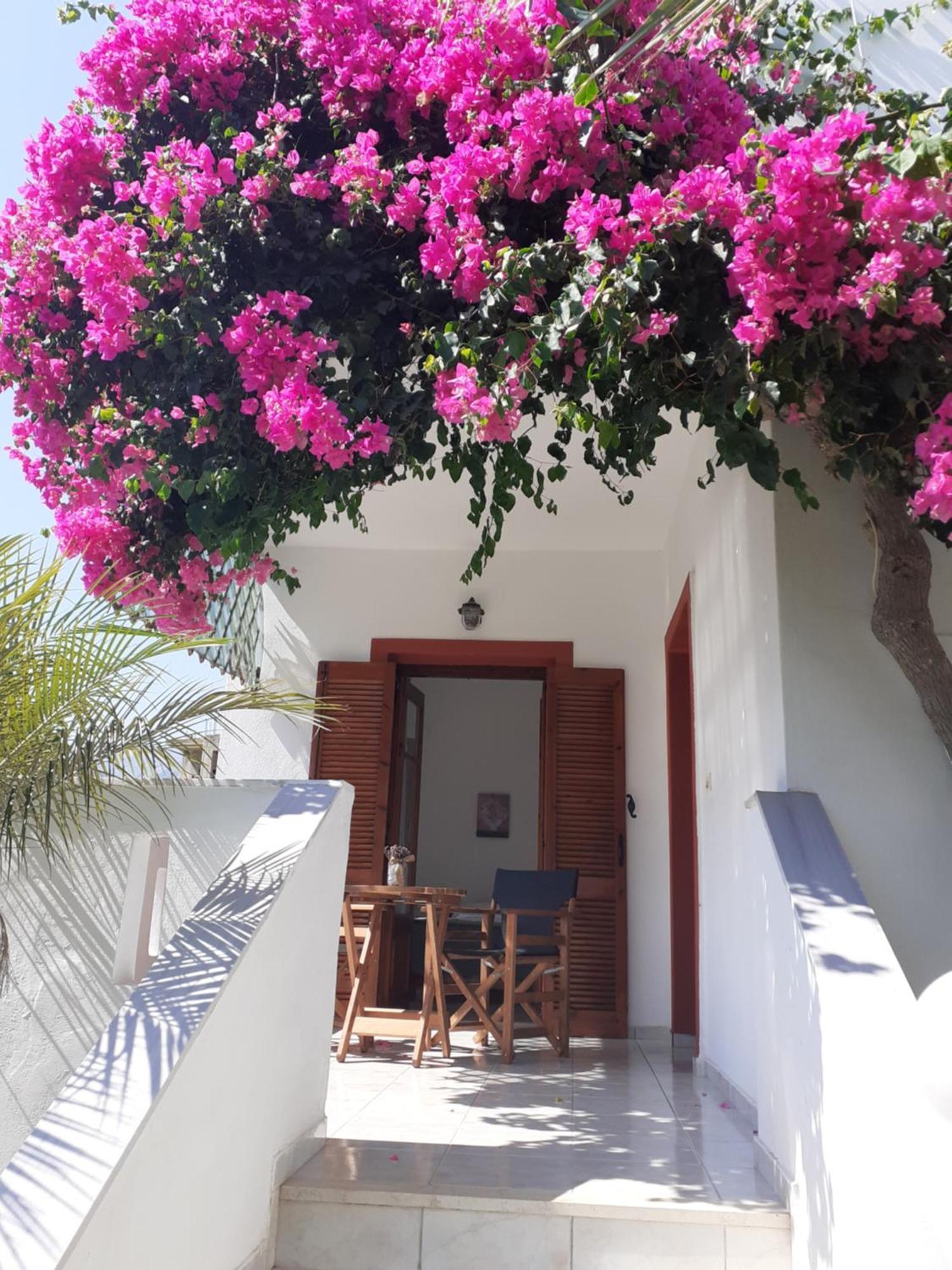 Antigoni Apartments 'Lavender Room' Mílatos Exterior foto